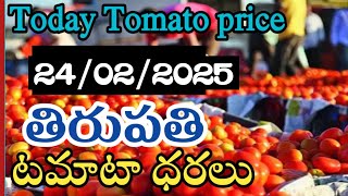 ఈరోజు 🍅తిరుపతి 🍅మార్కెట్🍅 టమోటా ధరలు /24/02/25/Today Tomato Market Tirupati price in Rate#tomato