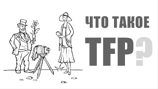 Что такое TFP-фотосъемка?