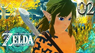 Zelda Tears of the Kingdom #02 : LES ÎLES CÉLESTES !