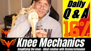 Q \u0026 A for The 16% - Simplifying The Knee - Tibio-femoral external rotation - BillHartmanPT.com