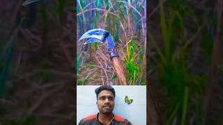 🤔கரும்பு சோகை உரிக்க சூப்பர் டூல்⁉️ | Amazing Farm Tool 💯 #trending #sugarcane #tools #viral #shorts