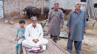 Shah Sahb ka Pure Aur Organic Milk Aur Roti K Sath Dinner Dekhen #motivation #garden #fruit #natural