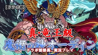 【ドラポ部】魔術の神オーディン/真・竜王級　ドラポ部部長、実況プレイ