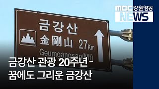 [영상리포트] '더봄' 금강산 관광 20주년 - 꿈에도 그리운 금강산