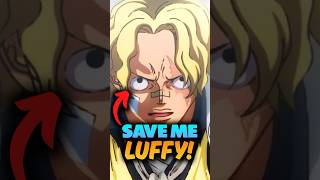 Luffy will start WAR against World Government to Save Sabo! One Piece Theory #onepiece #shorts