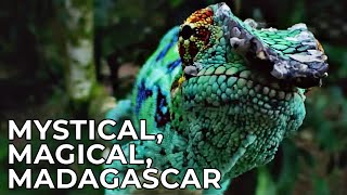 Madagascar - Mystical Island Paradise in the Indian Ocean | Free Documentary Nat