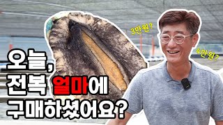 이 영상을 전복 소매업자가 싫어해요. 완도 전복을 2~3만 원 저렴하게 구입 가능한 이유