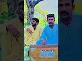 motia chambeli ty gulab singer waseem niazi latest song