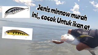 Minnow Killer Murah,,Ultralight Casting Baby GT