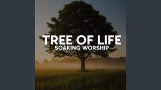 Tree of Life Soaking Worship