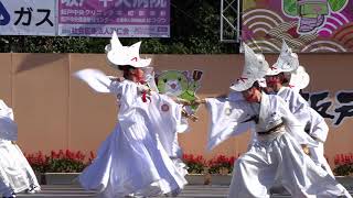 第18回 坂戸よさこい「勇舞会」参加回数：17回目