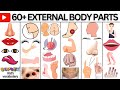 Body Parts | Parts of the Body in English | Listen And Practice