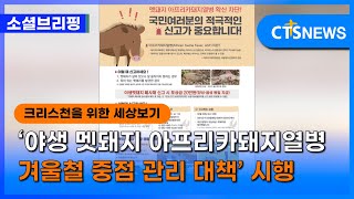 [소셜] 정책ㅣ‘야생 멧돼지 아프리카돼지열병 겨울철 중점 관리 대책’ 시행 (이한승) ㅣCTS뉴스