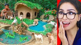 Building an Amazing Mud House for DOGS