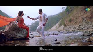 Hume Tumse Pyar Kitna (Shreya Ghoshal )Song whatsapp status