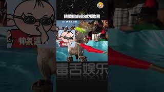 精灵鼠小弟诚不欺我！ #可爱到爆炸?? #松鼠 #神奇动物在抖音#shorts