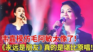 韦嘉模仿毛阿敏太像了！演唱经典歌曲《永远是朋友》，刚刚一开口观众一片沸腾，真的是堪比原唱！ 【全民欢唱】