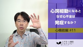 心機能編#11　心房細動になるとなぜ心不全は発症するか？［心不全・心機能アカデミー］