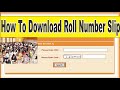 How to Download NTS Roll No Slip 2022 |NTS roll no slip 2022 | NTS data entry Roll Number Slip