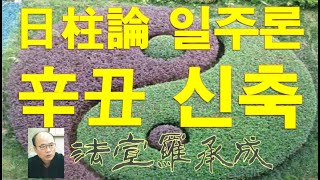 [nss-사주명리학강의-785] 일주론-신축일주 辛丑日柱