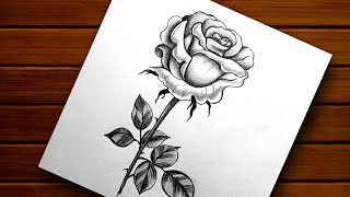 How to Draw Rose With Pencil Shading||Rose Day Special Drawing || Realistic Rose Sketch.