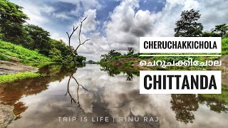 Cheru chakki chola Waterfalls | ചെറുചക്കി ചോല | Chittanda, Thrissur