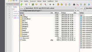 Cakephp Tutorial 18 - Custom css ENG