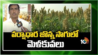 వర్షాధార జొన్న సాగులో మెళకువలు | Kharif Jowar Cultivation Tips | Matti Manishi | 10TV