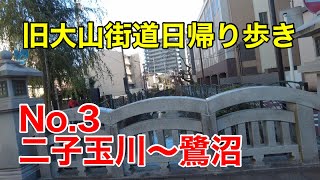 第３回　旧大山街道歩き　二子玉川～鷺沼（さぎぬま）