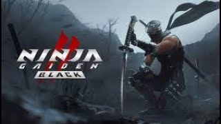 NINJA GAIDEN 2 BLACK - Speedrun Master Ninja - 6 hours and 21 minutes - 06:21:14 - Glitchless