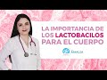 La importancia de los Lactobacilos para el cuerpo