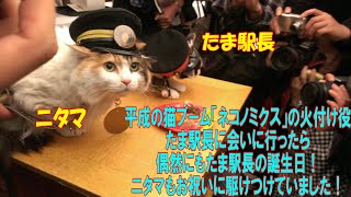 [Slideshow/National travel diary/Stationmaster Tama]