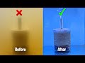 DIY Fish Tank Filter / How to make aquarium filter at home