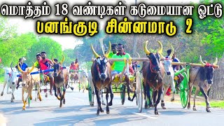 2சின்னமாடு - பனங்குடி பந்தயம் 20.05.2023