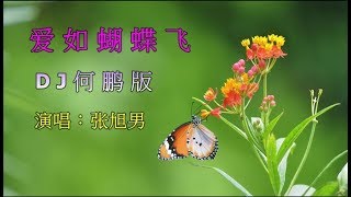 张旭男【爱如蝴蝶飞】 ~DJ何鹏版