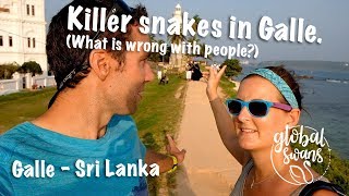 EP41 | Killer SNAKES in Galle