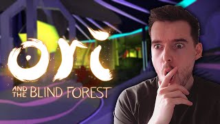 Ori and the Blind Forest - RPG Adventure