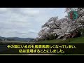 462 【スカッとする話】夫の連れ子だった娘が結婚。涙を流し晴れ姿を見つめる私に娘「母は血が繋がってない他人なので今後一切関わりません」笑顔の私「わかったわ、何があっても幸せにね」結果w【修羅場】