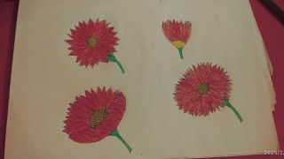 How to draw a flower with different shape easily step by step 💕💕