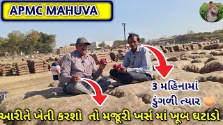 3 મહિનામાં ડુંગળી ત્યાર |એક ખેડૂત નો અનુભવ | APMC MAHUVA  એક ખેડૂત ભાઈ ની મુલાકાત rad onion 🧅