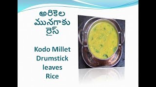 అరికెల మునగాకు రైస్ /Arikela Munagaku Rice in Telugu / Kodo millet Drumstick leaves Rice