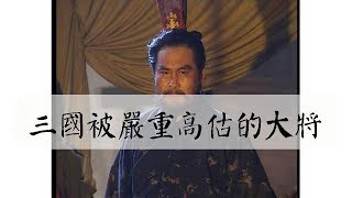 三國勇武被嚴重高估的大將，民間排名第三，其實真實實力有點水