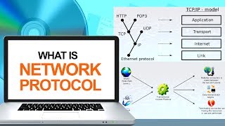 What is a Network Protocol | Computer & Networking Basics for Beginners | Computer Technology Course