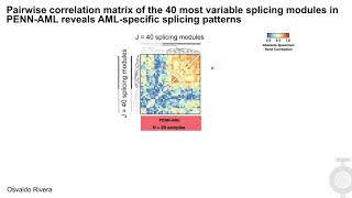 Splicing variations contribute to the functional dysregulation of genes in acute myeloid leukemia