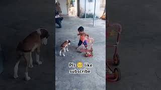 டேய் மைலோ இங்க வந்து#shorts #funnysho#trending #doglovers #comedy January 11, 2025