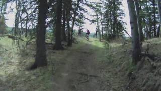 Jumpingpound Loop 2010