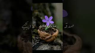 Kisii Kam Ka nhii hn mujhe mar dijiye ll Zor-e-Qalam Best Urdu Status poetry #shorts #whatsappstatus