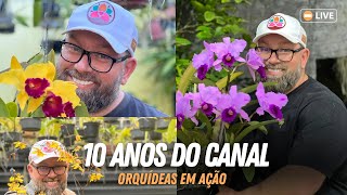 MAIS UMA TEMPORADA DE ORQUÍDEAS NO CANAL ORQUÍDEAS EM AÇÃO