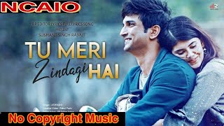 Dil Bechara Movie song | Tu Meri Zindagi h | No Copyright Music