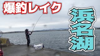 【紀州釣り】爆釣！今シーズン初の激流場で浜名湖黒鯛紀州釣り！【黒鯛釣り】【釣武者】